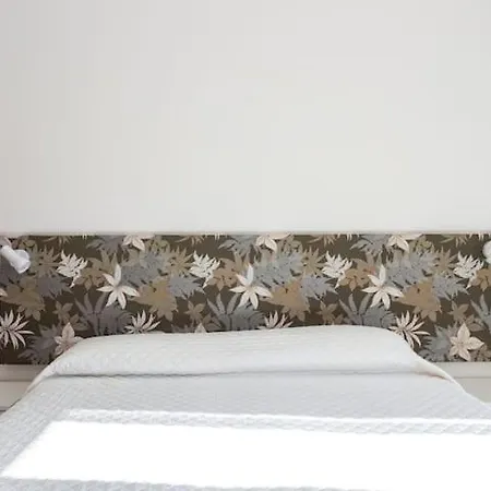 Casa Simona Homestay *